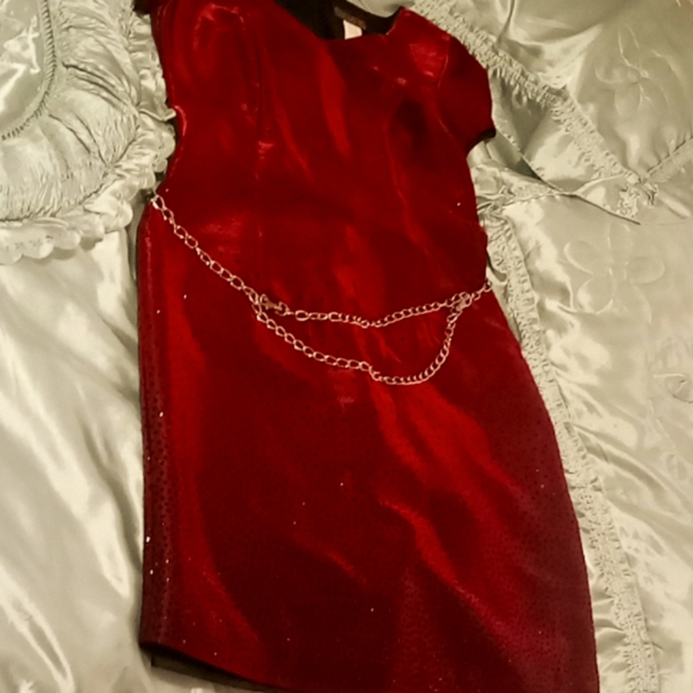 Cranberry sequin dress